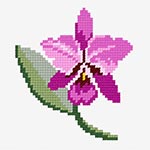 N·1154: Орхідея 