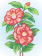 A541 Китайська троянда